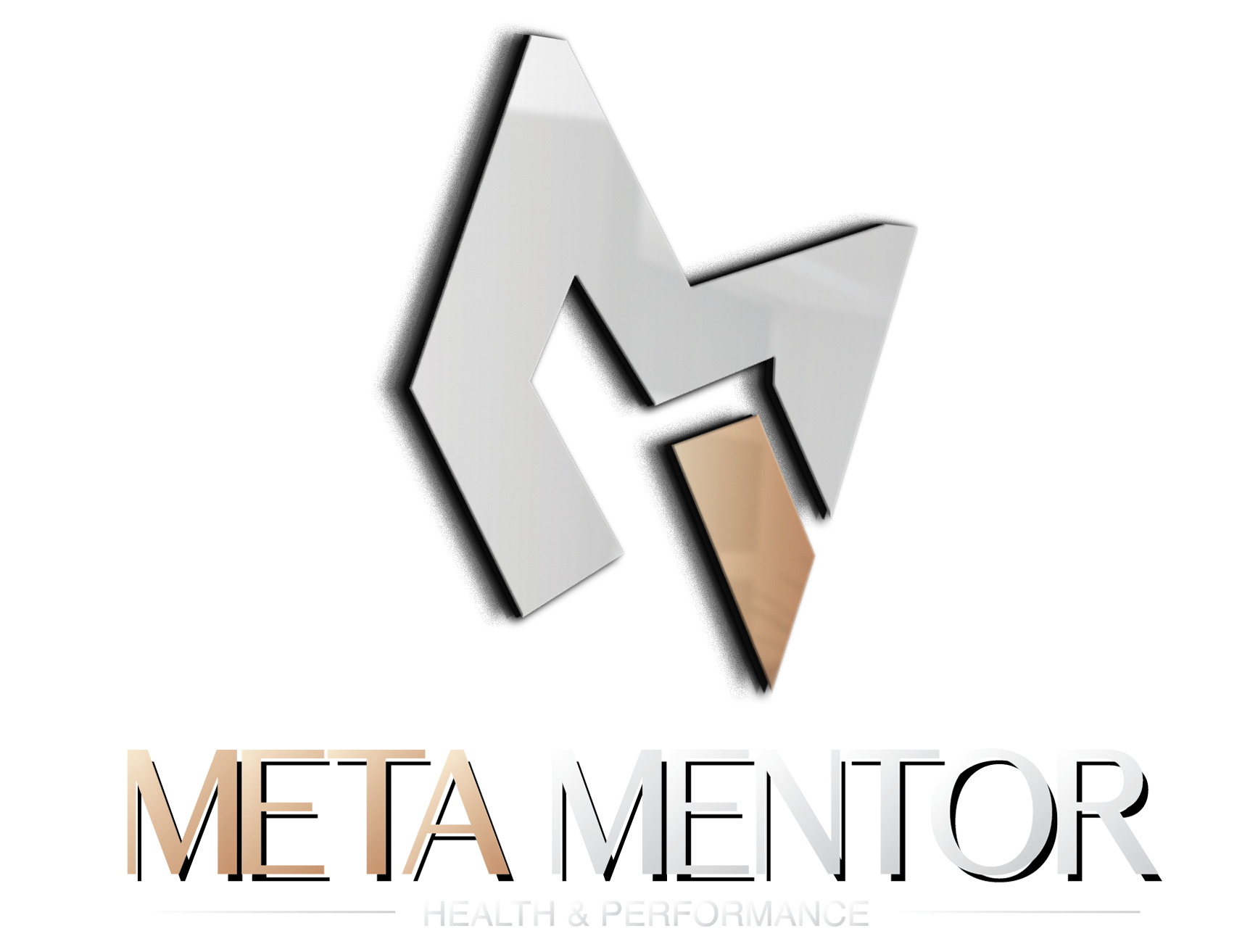 Meta Mentor